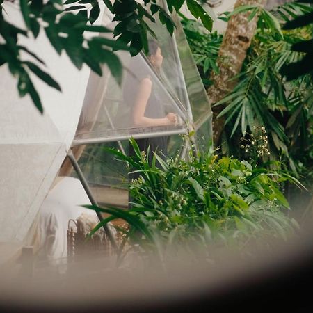 Lintang Luku Tent Resort Ijen, Banyuwangi Бануванги Екстериор снимка